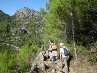 Walkers on Mallorca